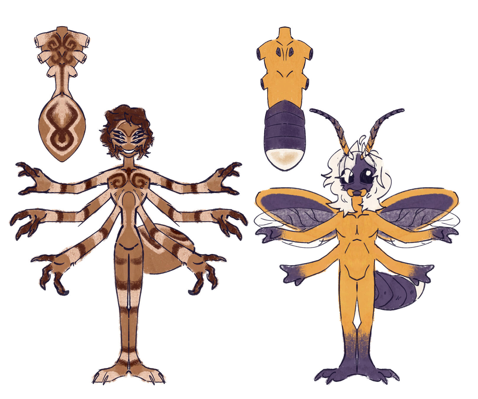 Sketched ref sheet