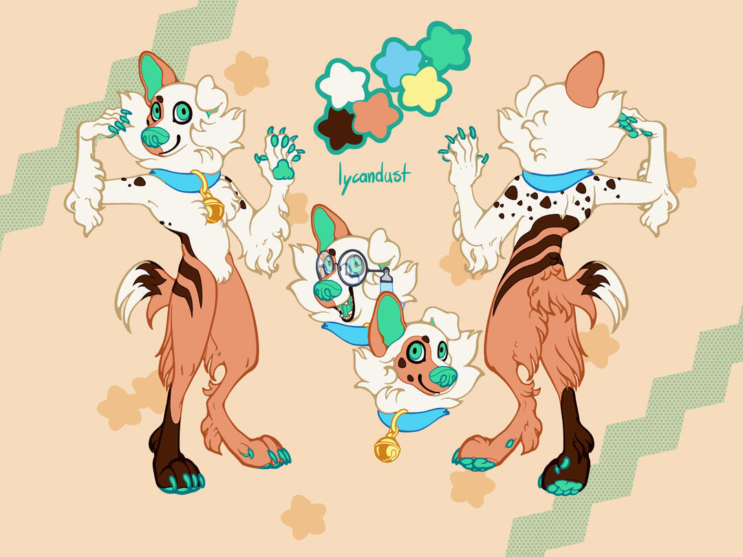 Lined ref sheet + accessories