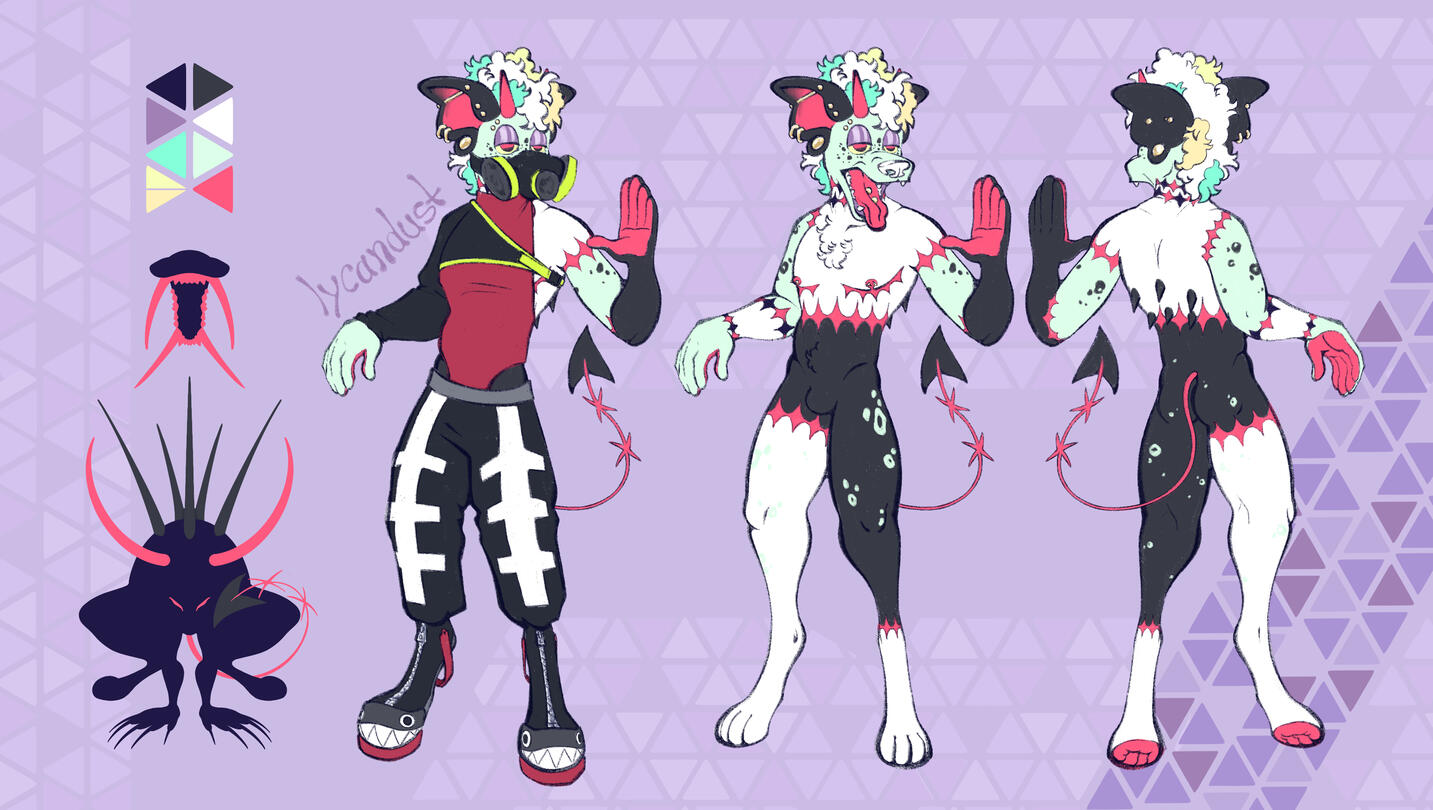 Lined ref sheet + outfit