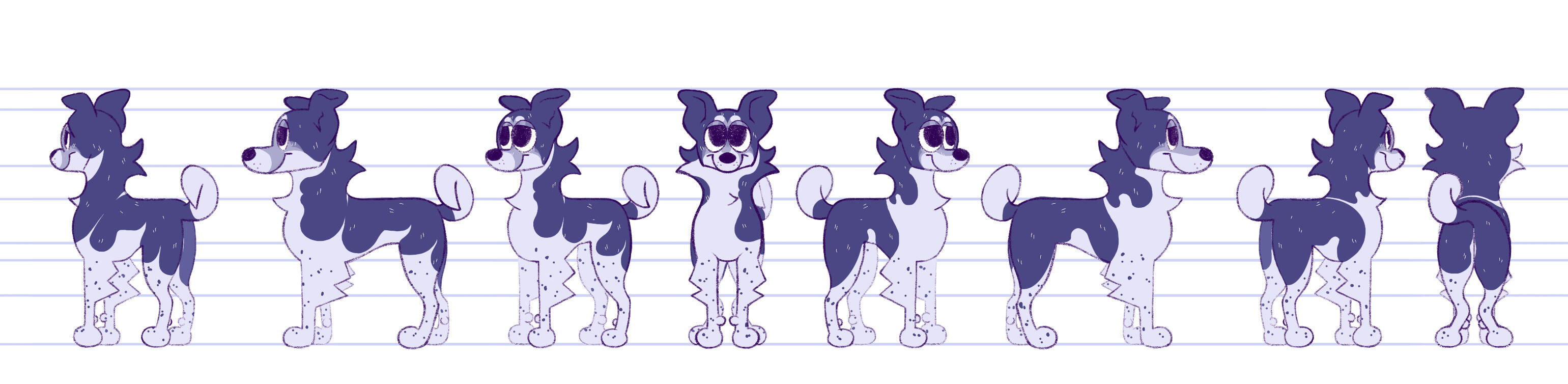 Senior Dog Senior Dog