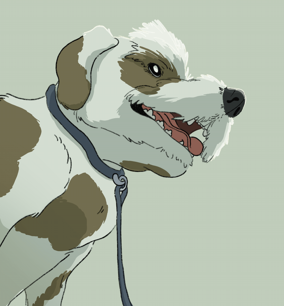 Dog Panting Loop Dog Panting Loop